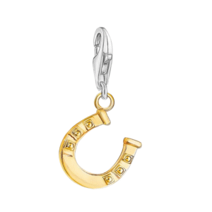 925 sterlingsilver hängsmycke med hästskocharm för westernhalsband - kräftklämma